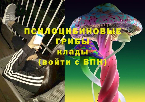 PSILOCYBIN Вяземский